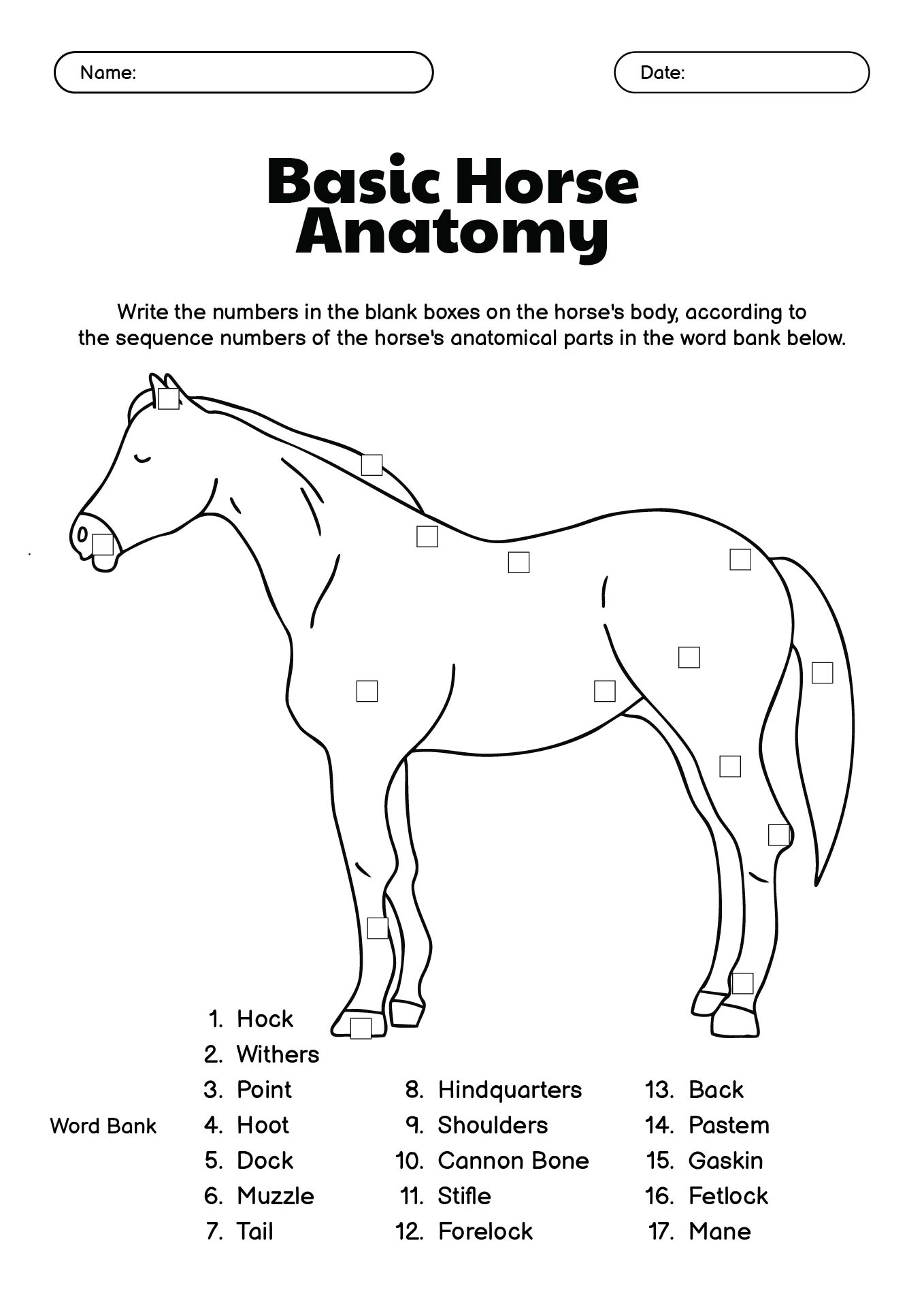 15 Horse Anatomy Worksheets Printable Free PDF At Worksheeto 15 Horse Anatomy Worksheets Printable Free PDF At Worksheeto
