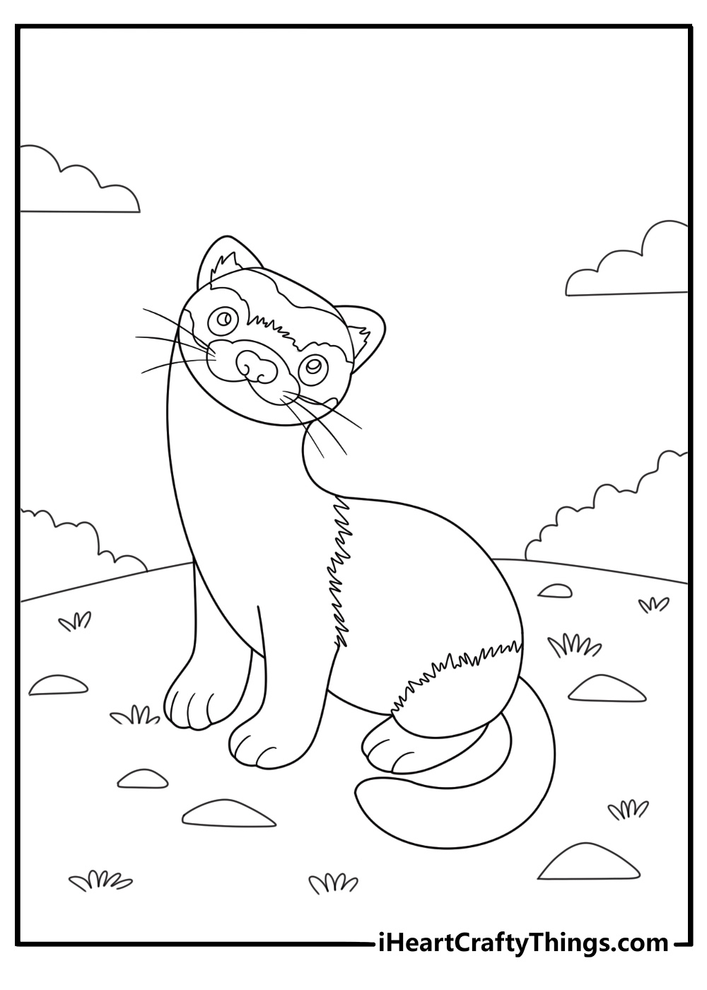 26 Free Ferret Coloring Pages For Kids