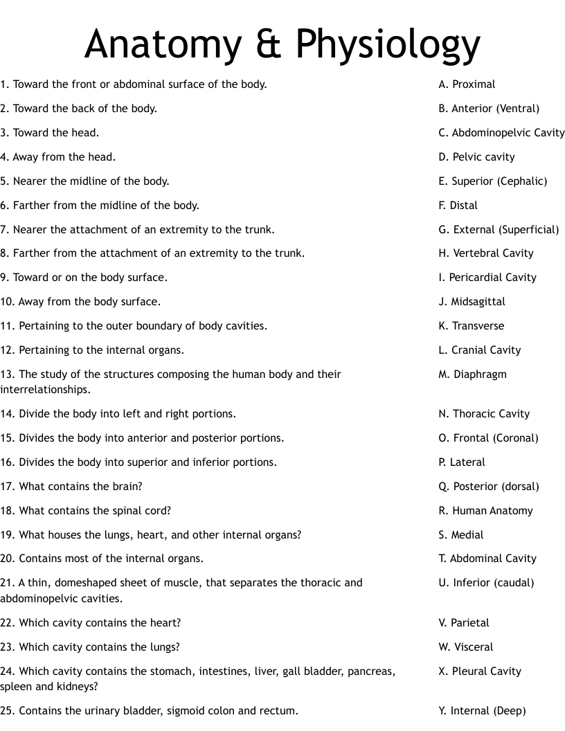 Anatomy Physiology Worksheet WordMint Anatomy Physiology Worksheet WordMint