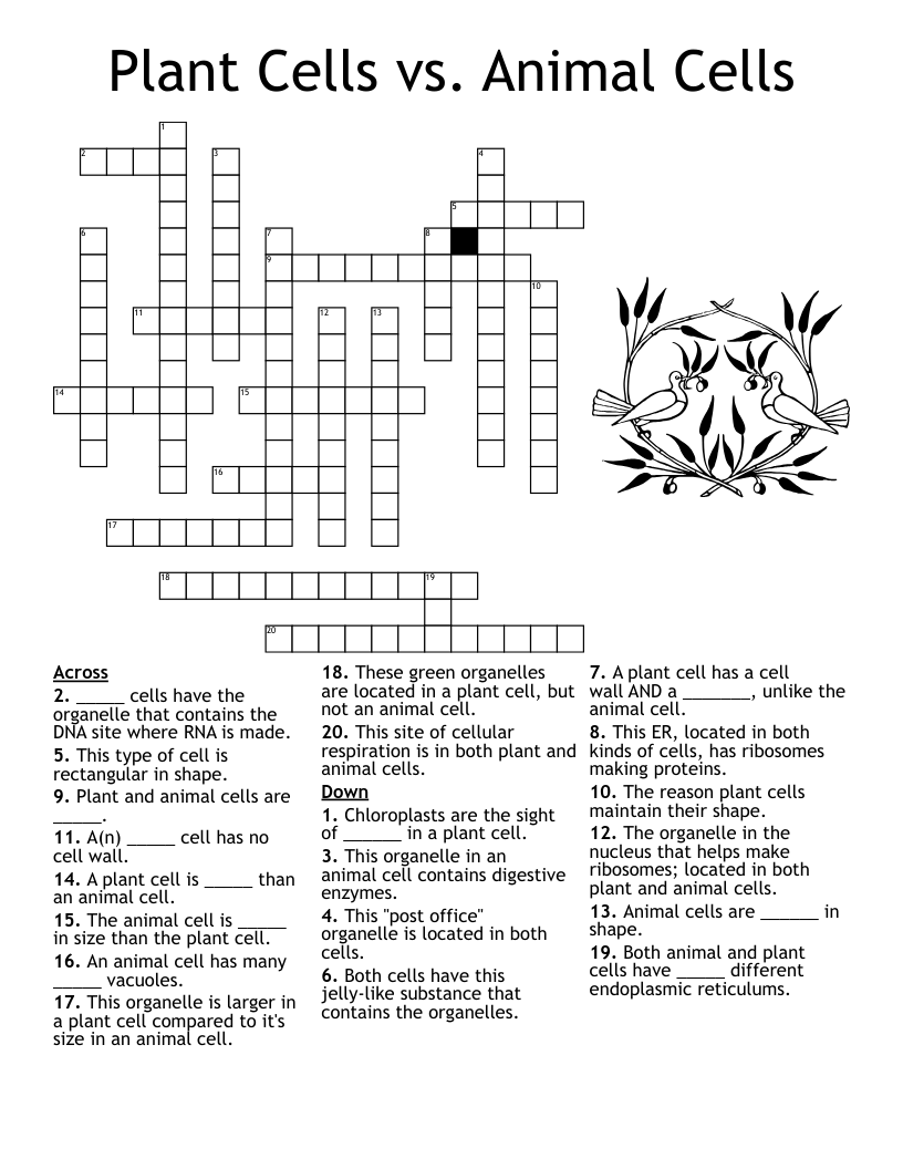 Animal And Plant Cells Worksheet WordMint