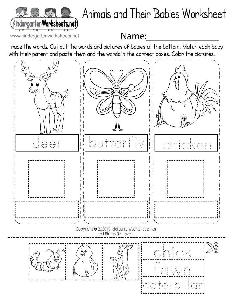 Animals And Their Babies Worksheet Free Printable Digital PDF FREE Zoo Animals Color By Letter Worksheets