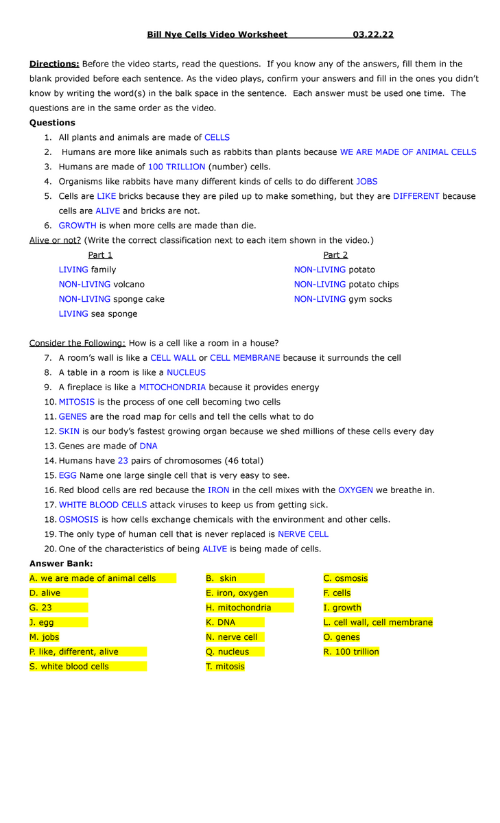 Bill Nye Cells Video Worksheet Answers 03 22 Studocu Bill Nye Cells Video Worksheet Key Questions Answers 2023 Studocu