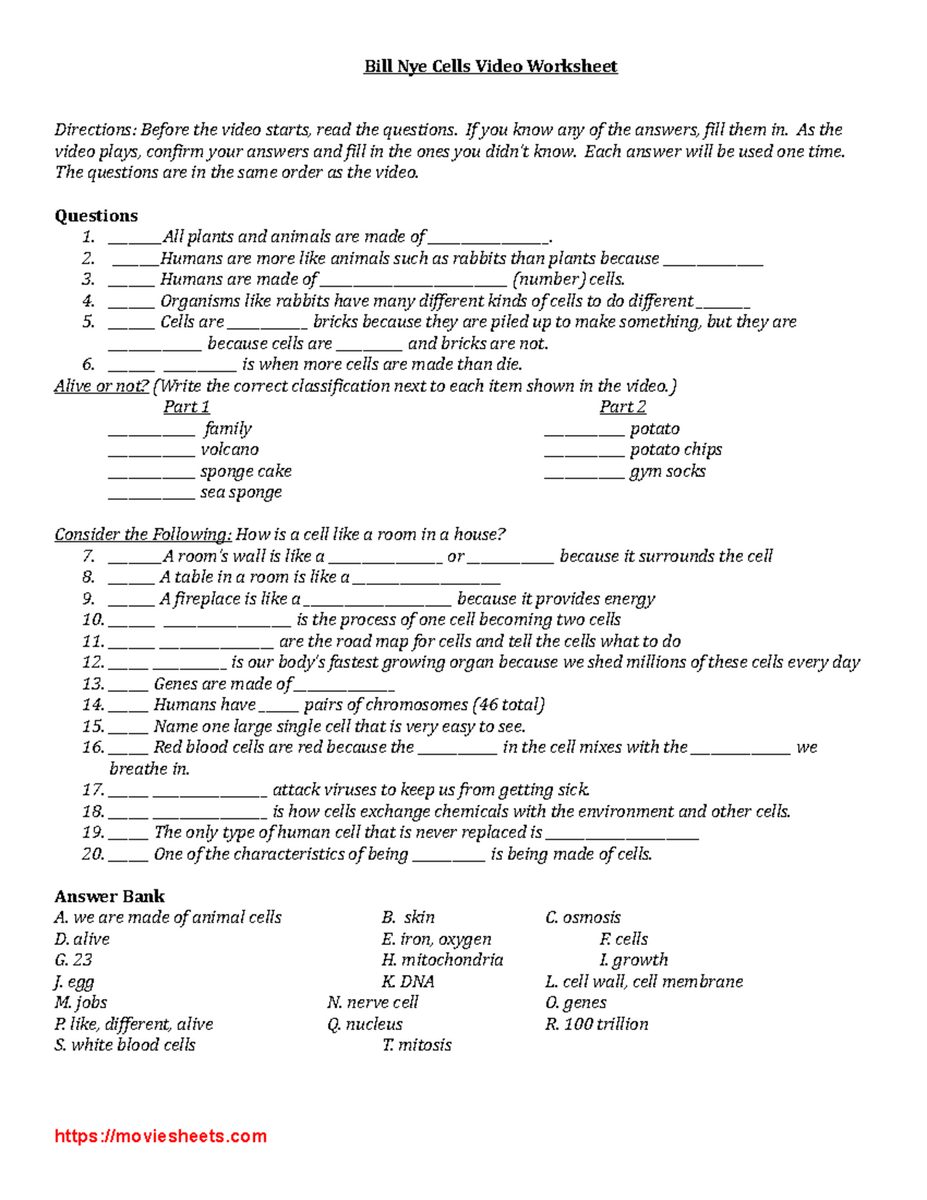 Bill Nye Cells Video Worksheet Key Questions Answers 2023 Studocu Bill Nye Cells Video Worksheet Key Questions Answers 2023 Studocu