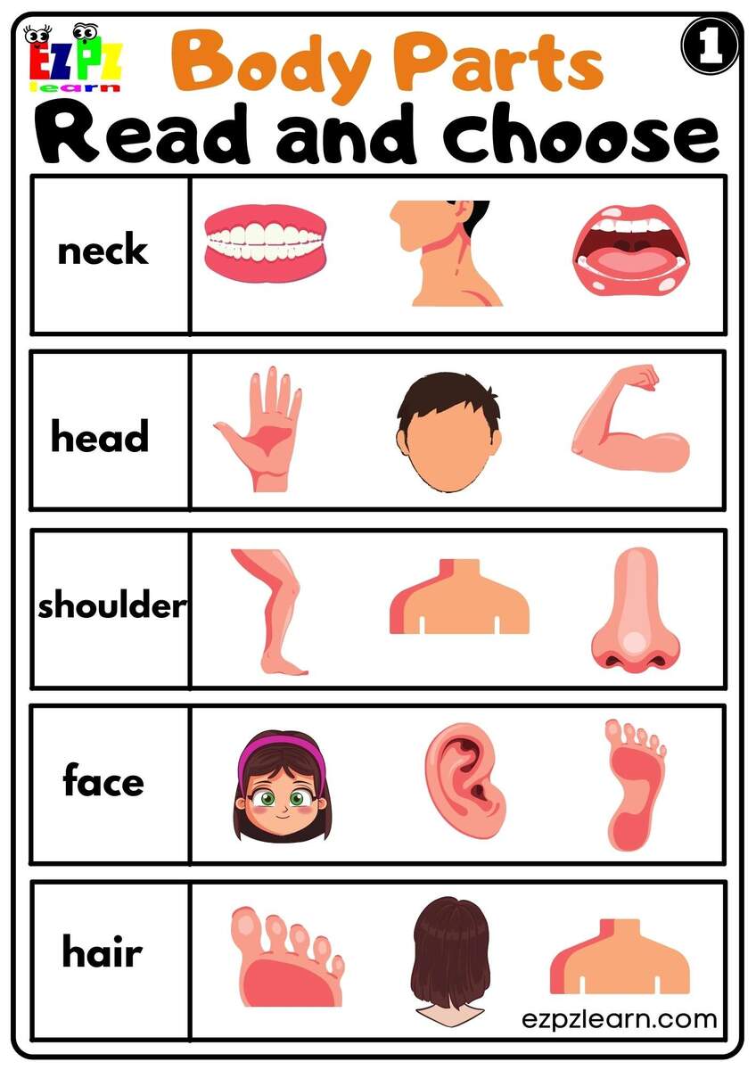 Parts Of The Body Worksheets The Teaching Aunt
