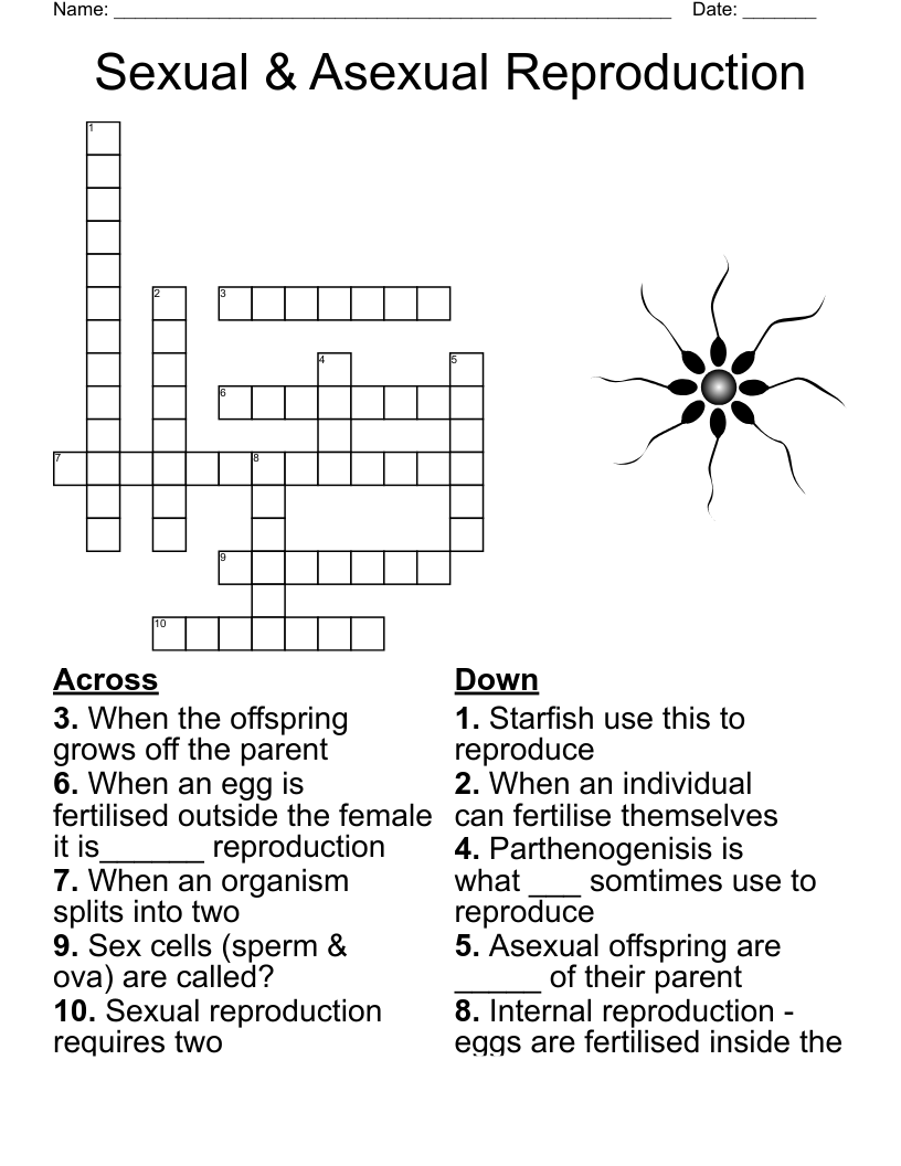 Child Sexual Exploitation Word Search WordMint Child Sexual Exploitation Word Search WordMint