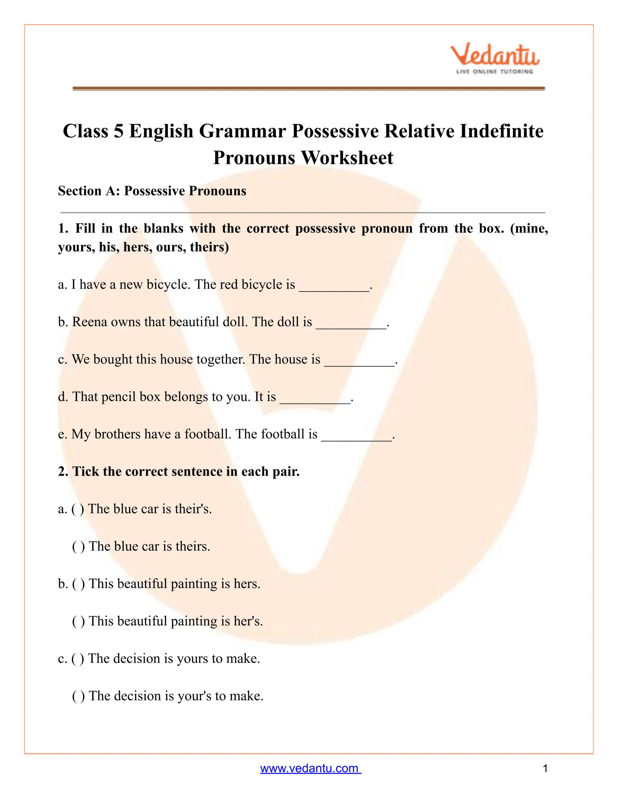 Class 5 Possessive Relative Indefinite Pronouns Worksheet PDF