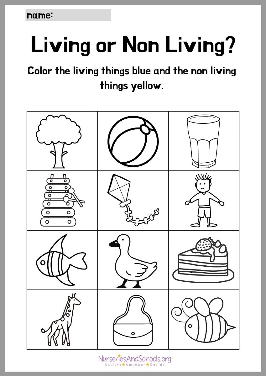 Discover 21 Non Living And Living Worksheets And Worksheets Ideas Living And Nonliving Science Worksheets Worksheets For Kids And More