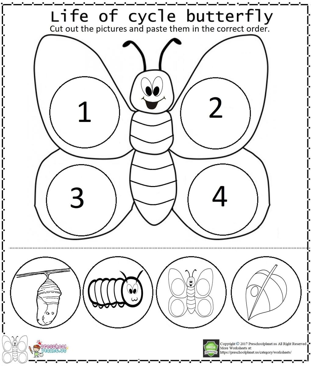 Discover 29 Butterflies Kindergarten And Butterfly Life Cycle Ideas Kindergarten Science Life Cycles Teaching Science And More Discover 29 Butterflies Kindergarten And Butterfly Life Cycle Ideas Kindergarten Science Life Cycles Teaching Science And More