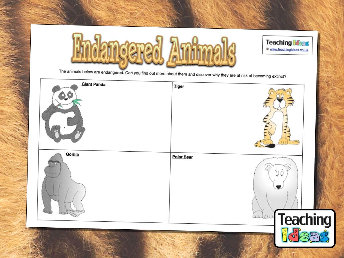 Endangered Animals Activity Teaching Ideas Endangered Animals Activity Teaching Ideas