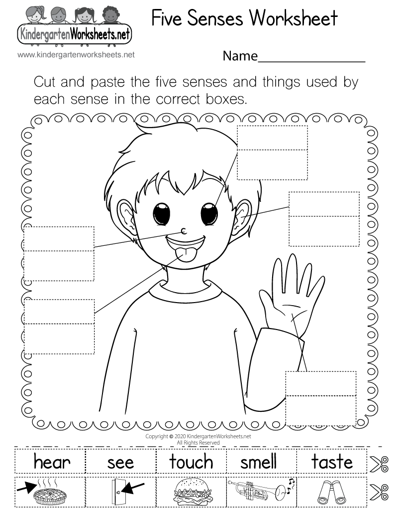 Five Senses Worksheet Free Printable Digital PDF Five Senses Printables Pack For Sorting Fun And More Free Rock Your Homeschool
