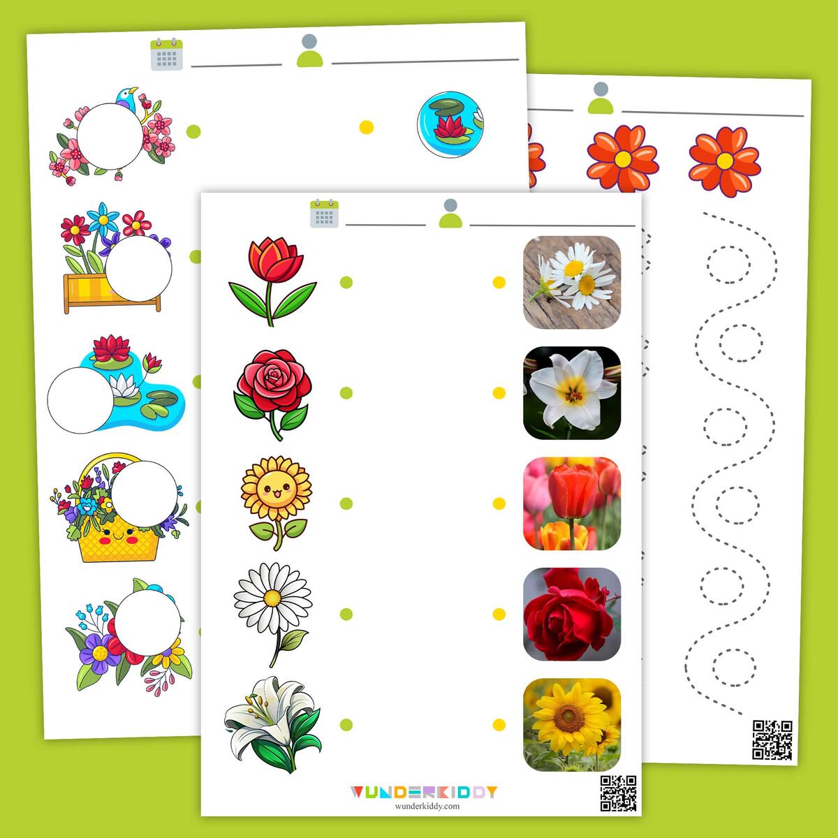 Flowers And Plants Printable Activities For Kids Flowers And Plants Printable Activities For Kids