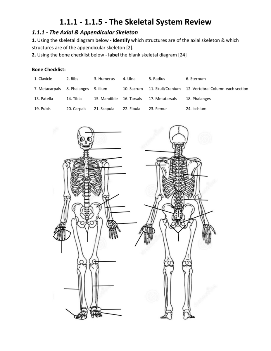 Free Appendicular Skeleton Labeling Worksheet Download Free Appendicular Skeleton Labeling Worksheet Png Images Free Worksheets On Clipart Library Free Appendicular Skeleton Labeling Worksheet Download Free Appendicular Skeleton Labeling Worksheet Png Images Free Worksheets On Clipart Library