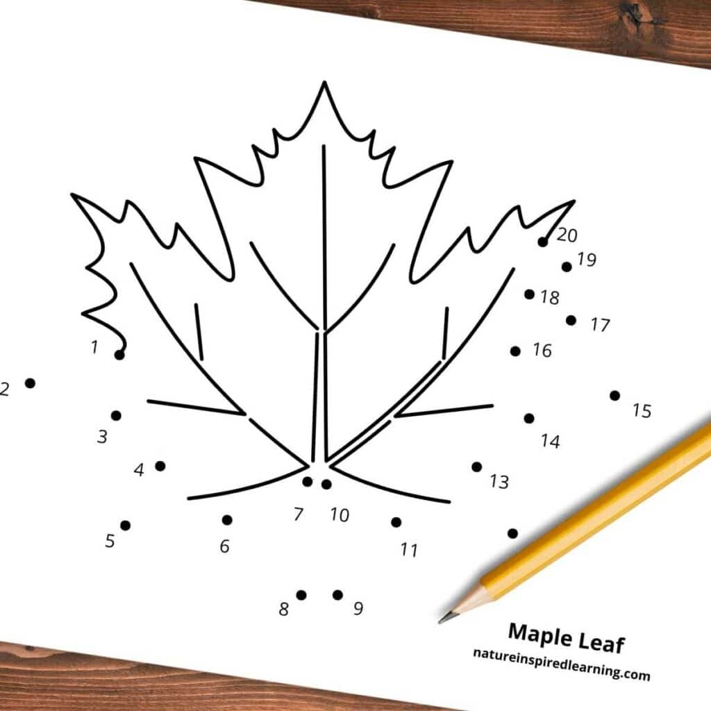 Free Dot To Dot Worksheets 1 20 Nature Inspired Learning Free Dot To Dot Worksheets 1 20 Nature Inspired Learning