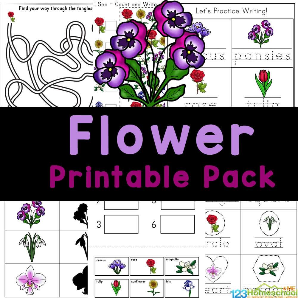 FREE Printable Flower Worksheets For Kids FREE Printable Flower Worksheets For Kids