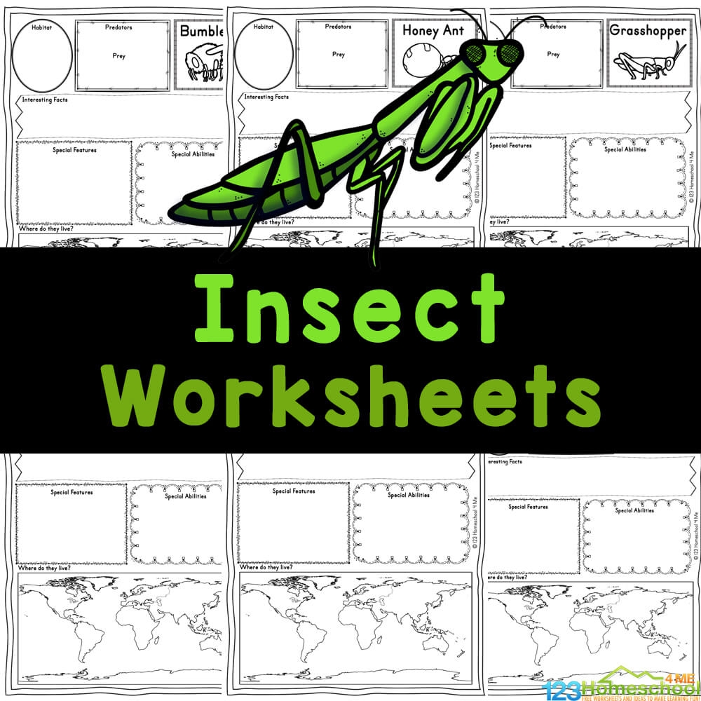 FREE Printable Insect Worksheets For Kids Insects Free Worksheet SKOOLGO
