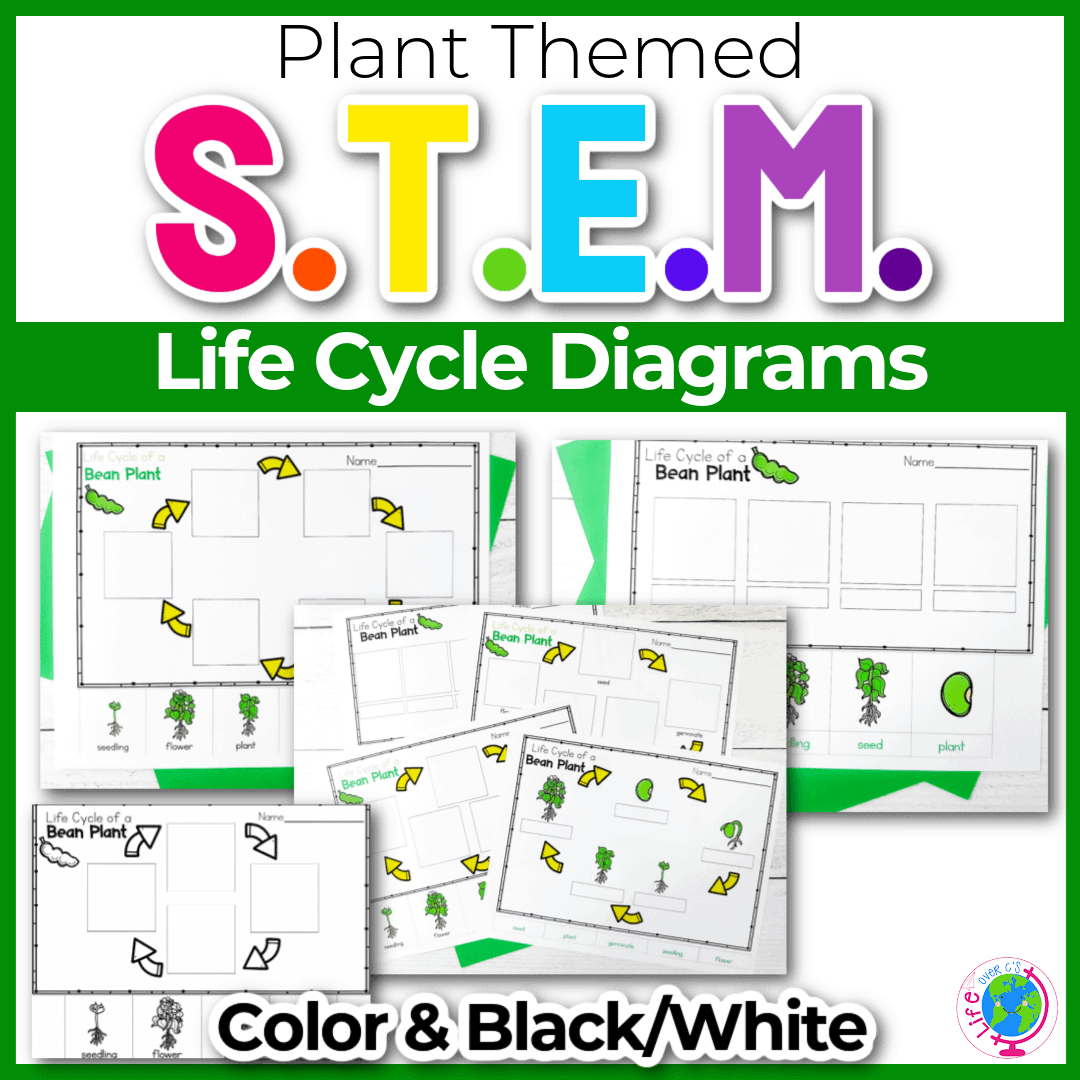 Free Printable Life Cycle Of A Bean Plant Diagrams For Kids Free Printable Life Cycle Of A Bean Plant Diagrams For Kids