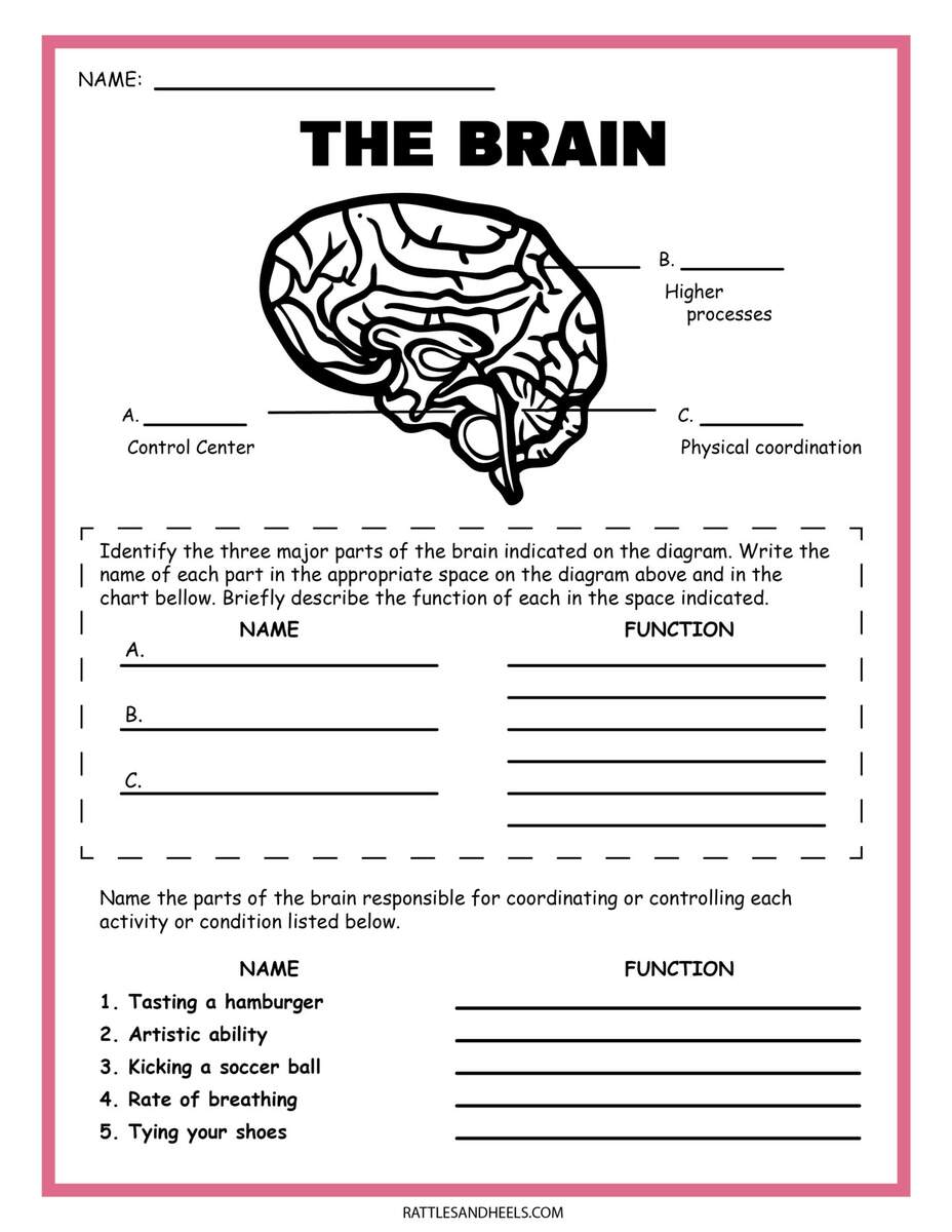 4th Grade Water Worksheets Printable