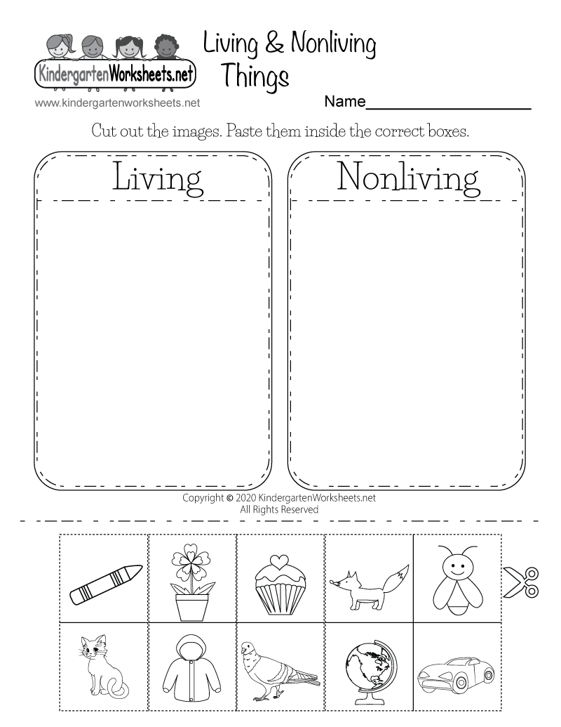 Landforms Earth Science Worksheet Free Printable Digital PDF