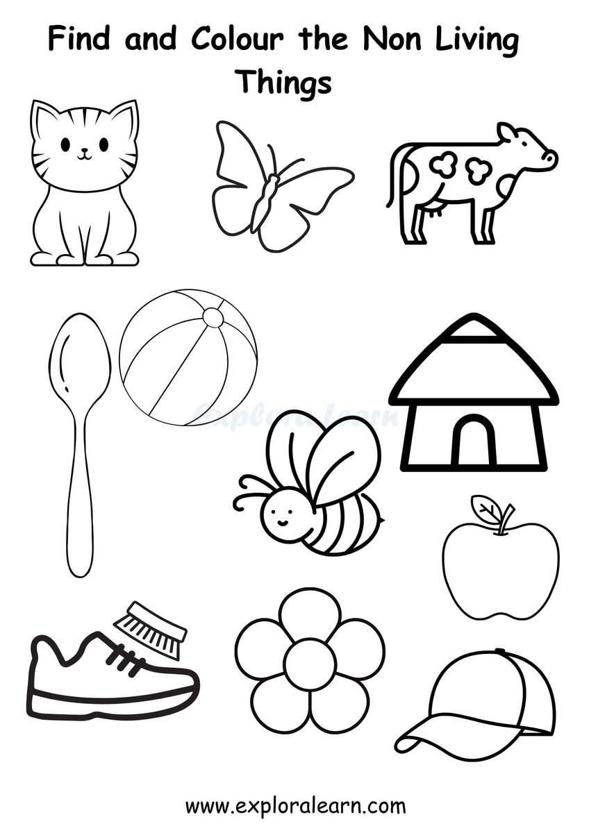 Living Non Living Worksheets For Preschool And Kindergarten 2 To 6 Years Kids