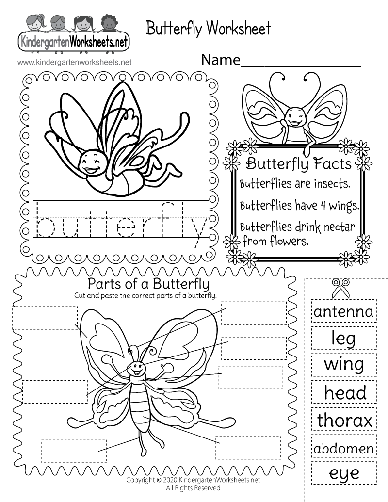 Parts Of A Butterfly Worksheet Free Printable Digital PDF Butterfly Templates Make A Butterfly Free Printable Mrs Merry