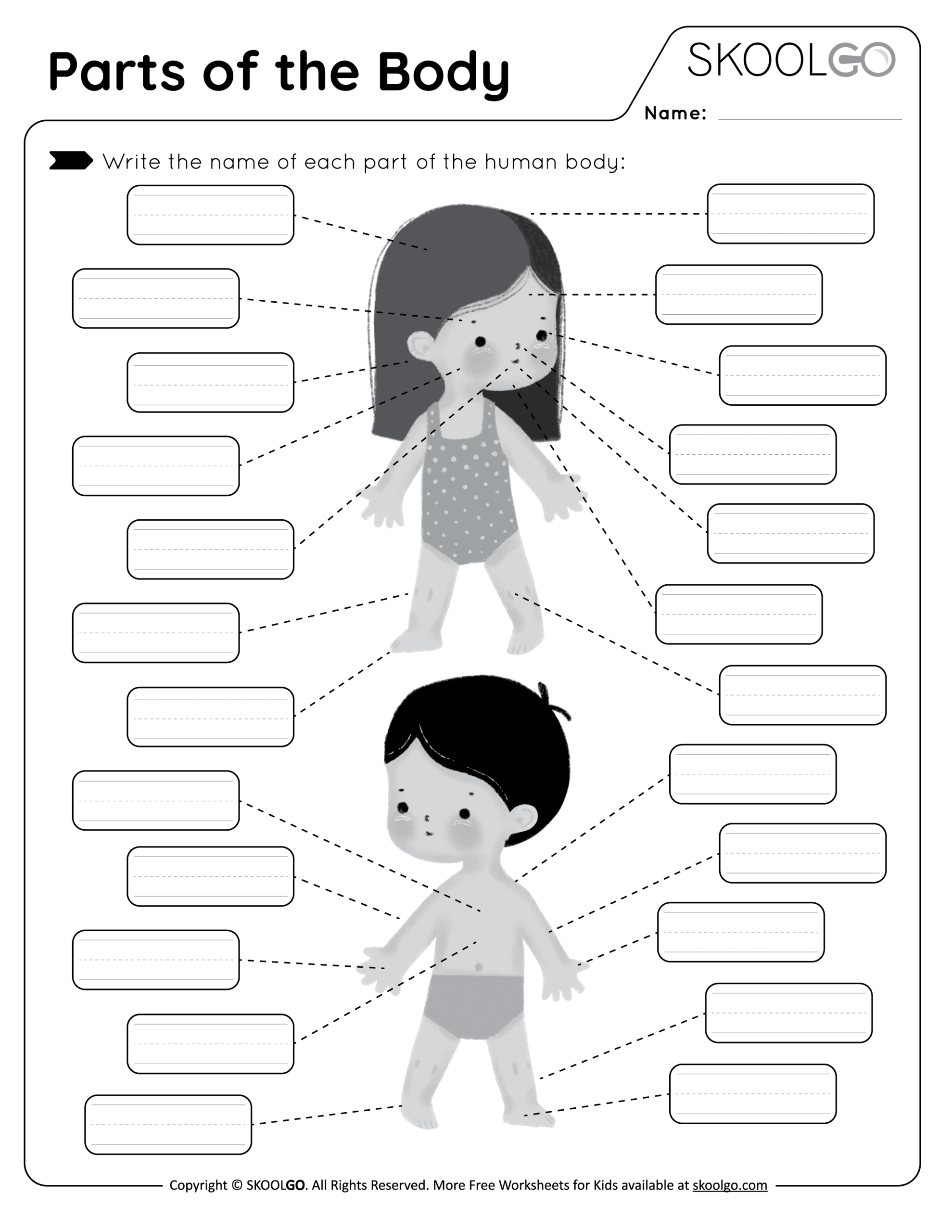 Parts Of The Body Free Worksheet SKOOLGO Human Body Systems Bundle