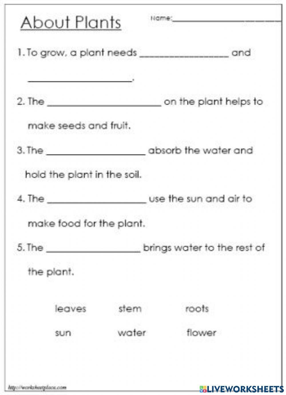 Plants Online Exercise For Grade 3 Worksheets Library