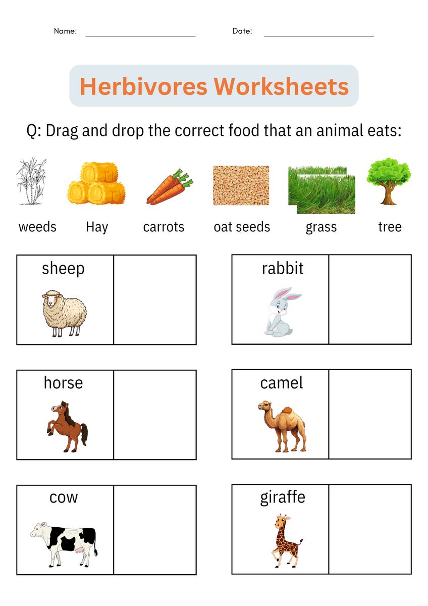 Printable Animal Classification Herbivores Worksheets Activities For Grade 1 Made By Teachers Printable Animal Classification Herbivores Worksheets Activities For Grade 1 Made By Teachers