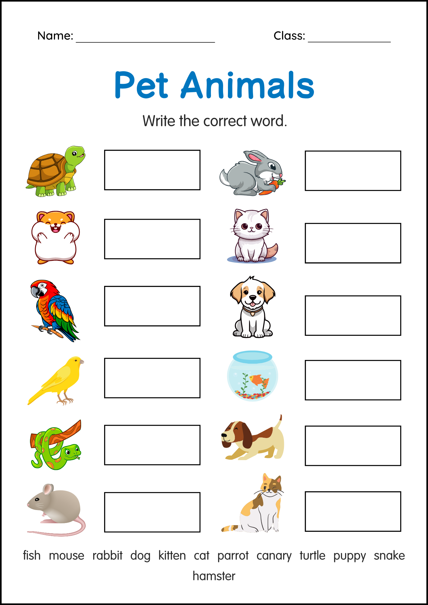 Printable Pets Animals Activity Worksheets For Grade 1 2 3 Made By Teachers Math Worksheets Superstar Worksheets