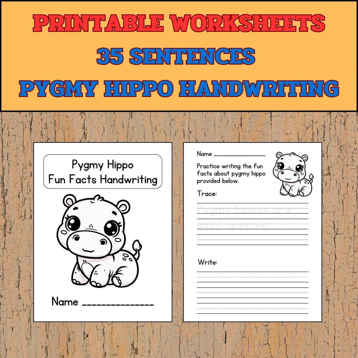 Pygmy Hippo Fun Facts Handwriting Practice Printable Handwriting Practice Sheets Trace And Write Practice Handwriting Gift Etsy Pygmy Hippo Fun Facts Handwriting Practice Printable Handwriting Practice Sheets Trace And Write Practice Handwriting Gift Etsy