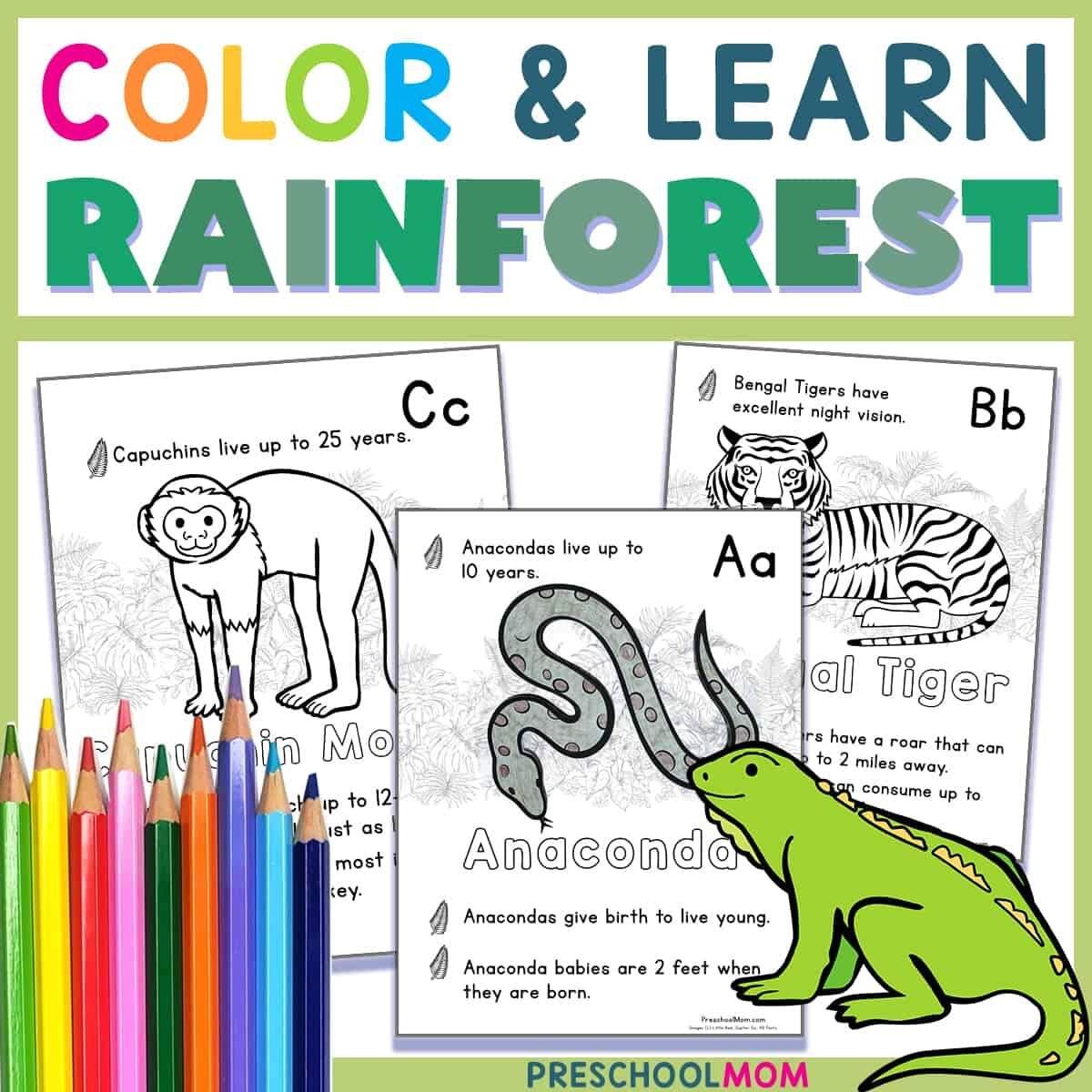 Rainforest Coloring Pages Preschool Mom Rainforest Coloring Pages Preschool Mom