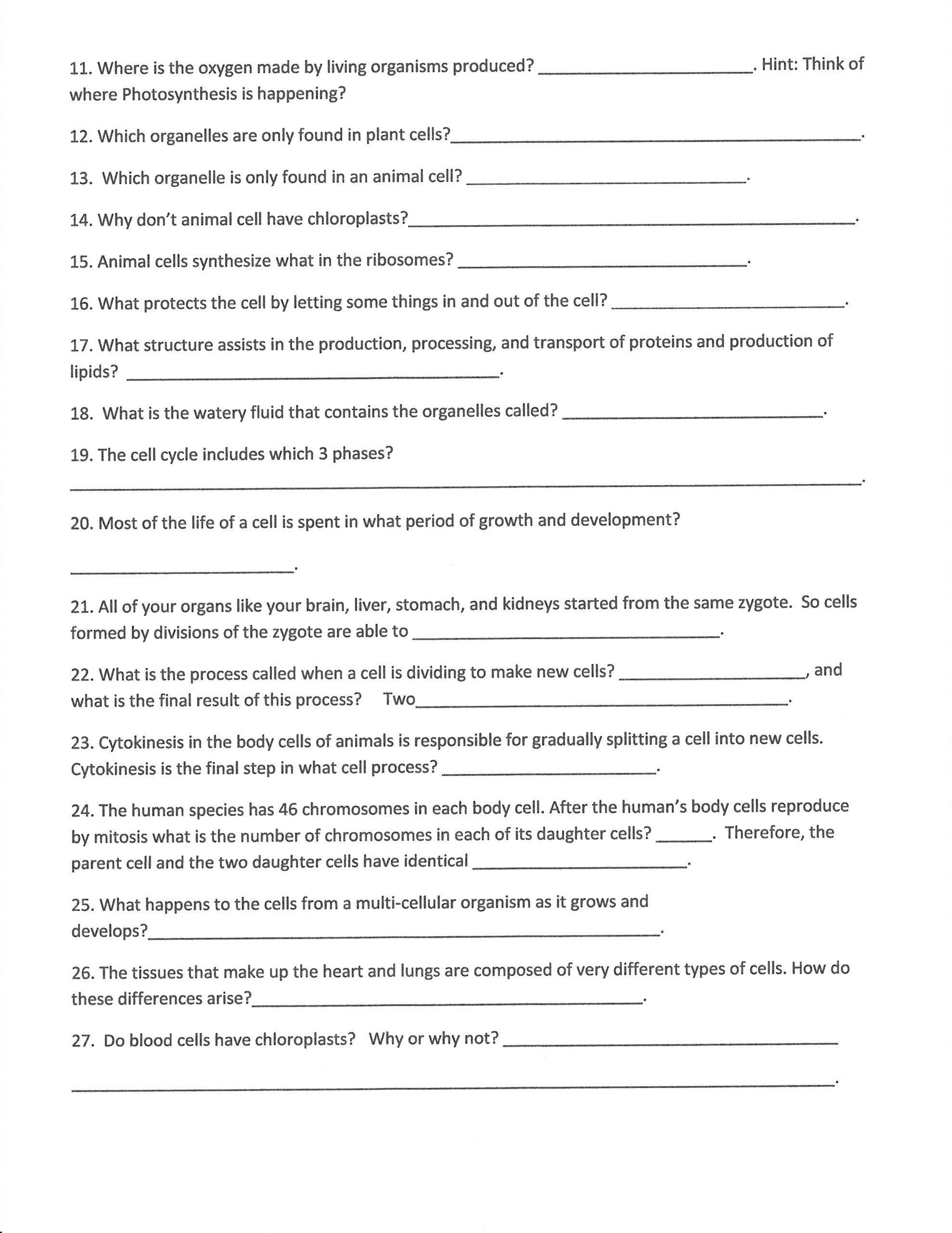 September Worksheets Morris 7th Grade Science Class September Worksheets Morris 7th Grade Science Class