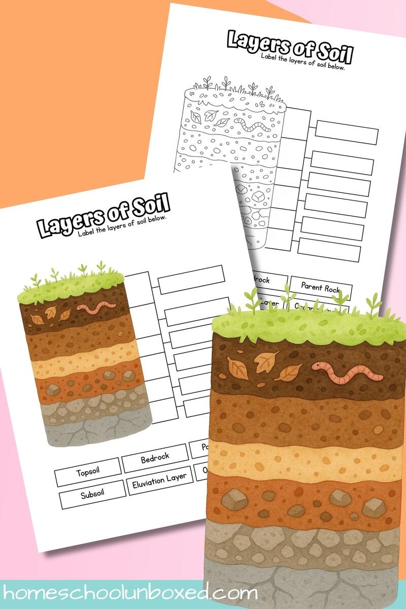 Soil Layers Labeling Worksheet Free Printable Soil Layers Labeling Worksheet Free Printable