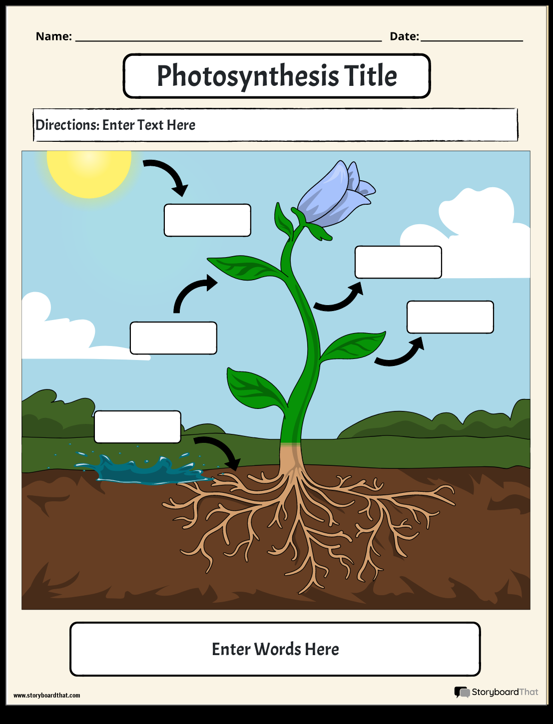 Photosynthesis Worksheet Template