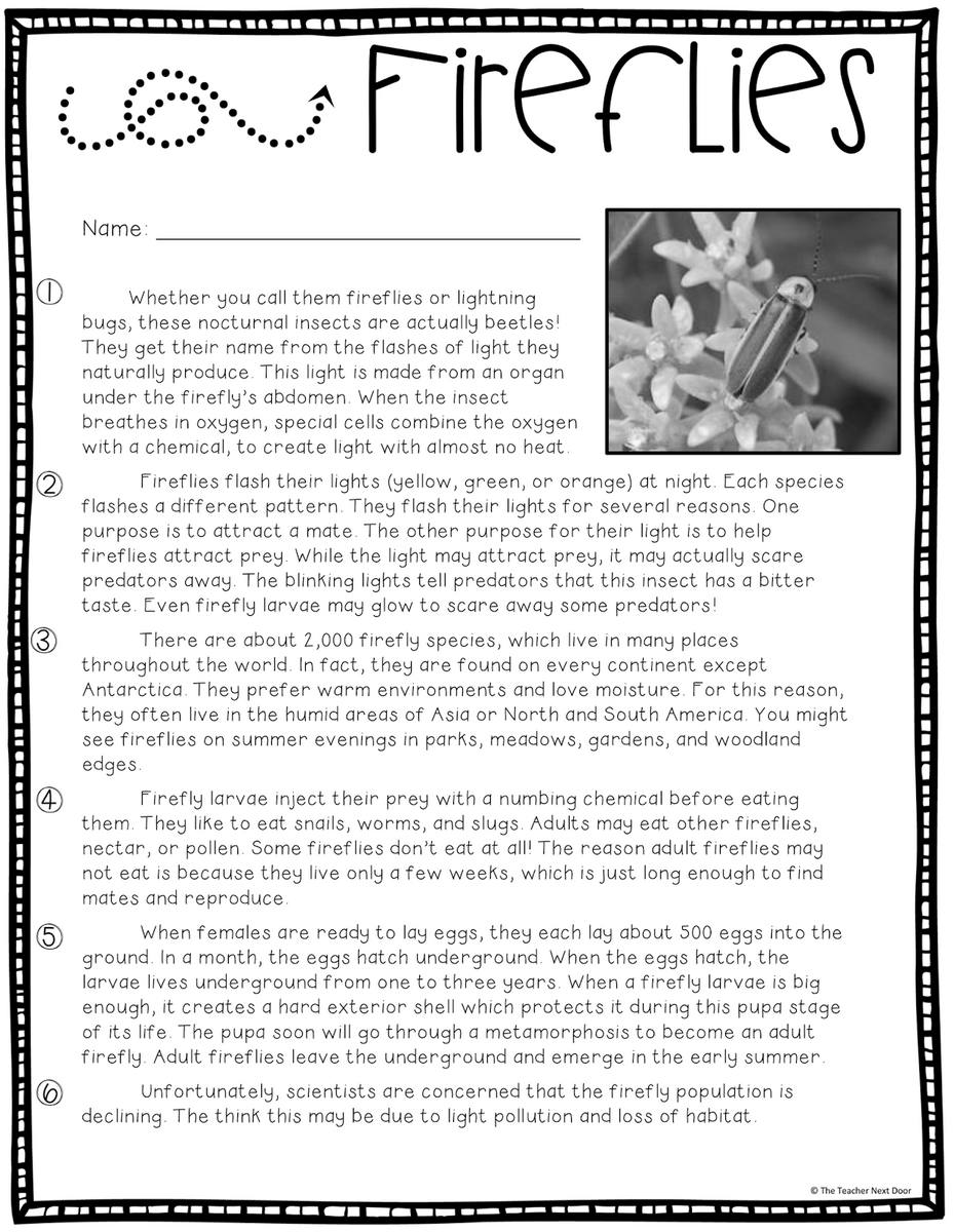 Text Evidence Worksheets Free Download 99Worksheets Worksheets Library