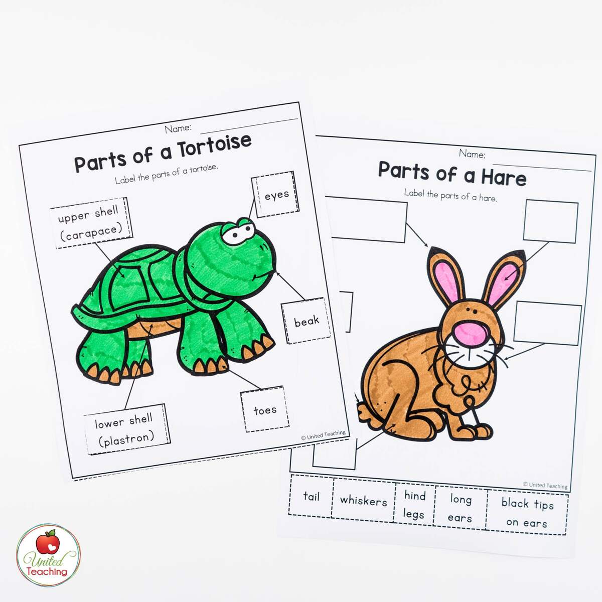 The Tortoise And The Hare Activities United Teaching The Tortoise And The Hare Activities United Teaching