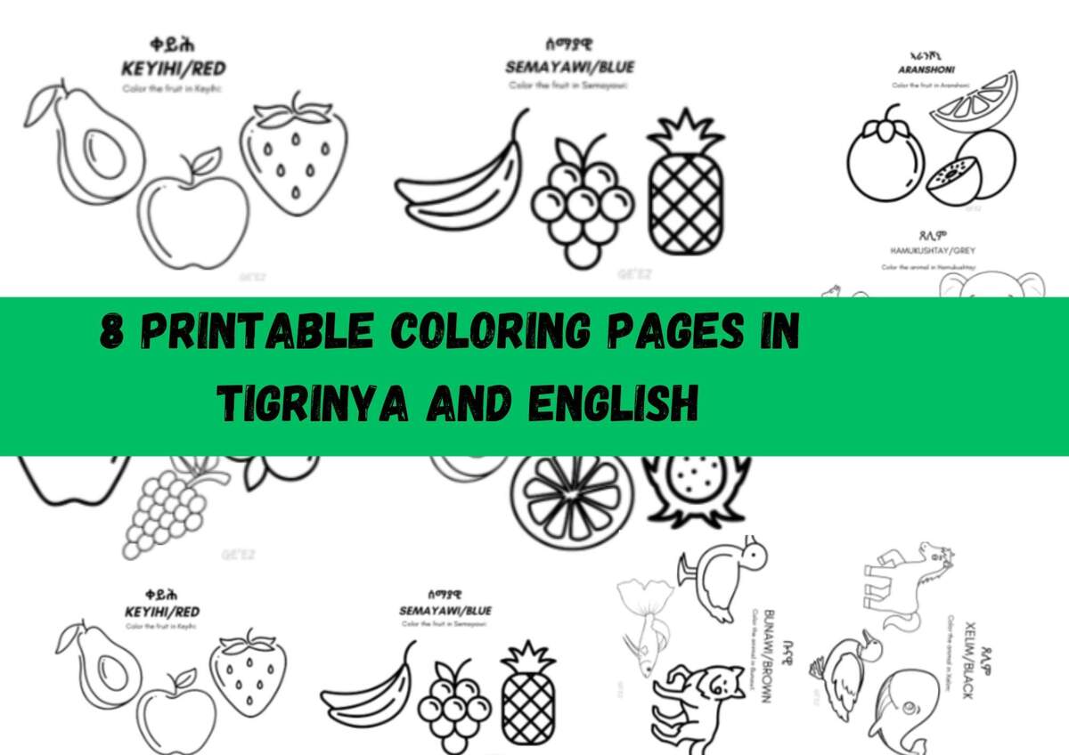 Tigrinya Book Etsy Tigrinya Bible Verse Etsy